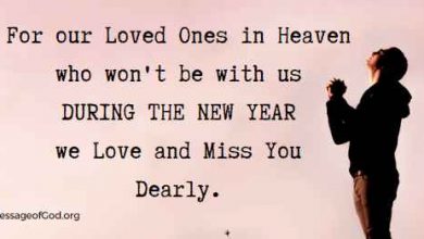 For our Loved Ones in Heaven who won't be with us DURING THE NEW YEAR we Love and Miss You Dearly.