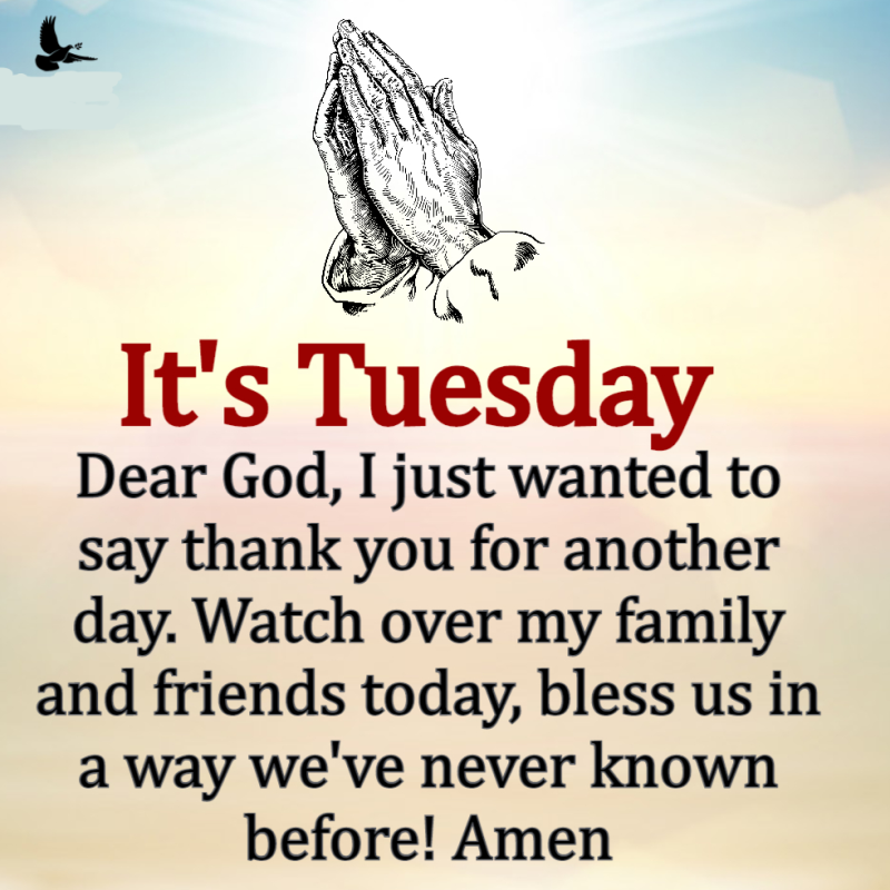 100 Best Tuesday Morning Blessings Images And Quotes