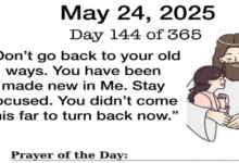 Untitled 23