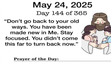 Untitled 23