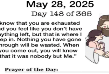 Untitled 27