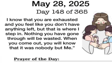 Untitled 27